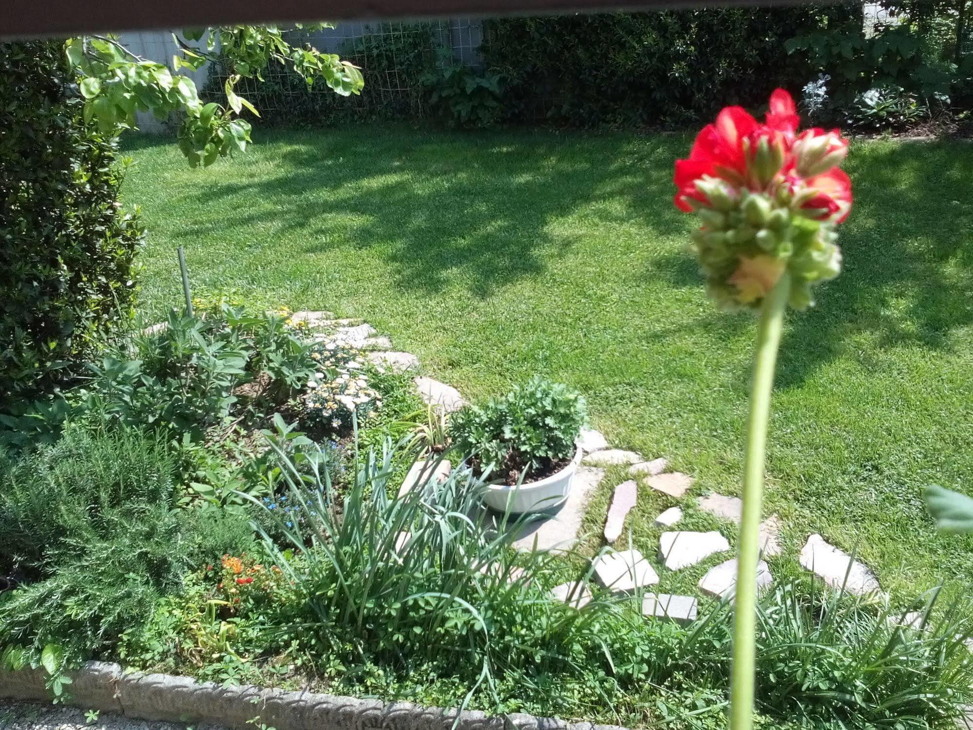 Casa Emanuela Bed & Breakfast Piazzola sul Brenta Exterior photo
